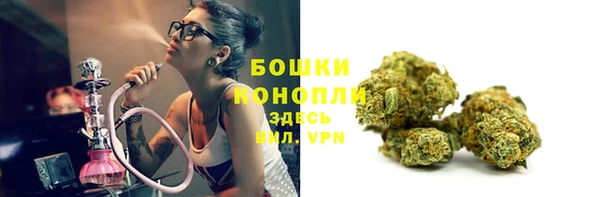 тгк Богданович