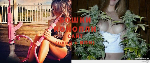 тгк Богданович