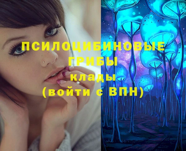тгк Богданович