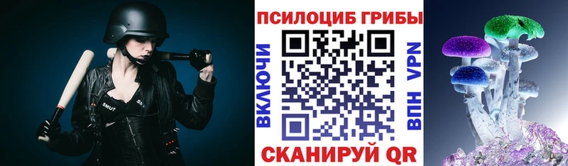 Галлюциногенные грибы Magic Shrooms  Сланцы 